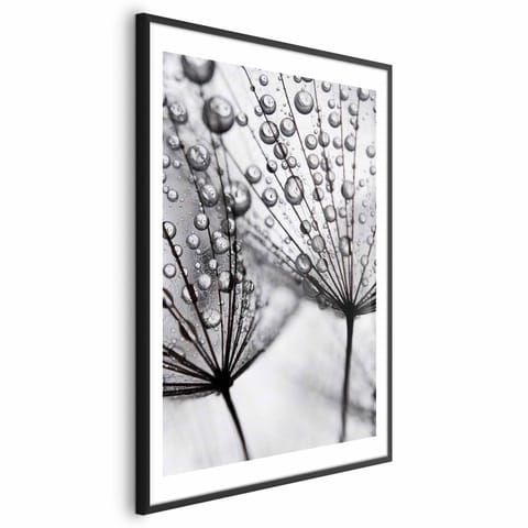 ⁨Plakat - Rosa w skali makro (rozmiar 40x60, wykończenie Rama czarna z marginesem)⁩ w sklepie Wasserman.eu