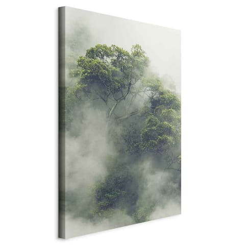 ⁨Obraz - Mglista Amazonia (1-częściowy) pionowy (rozmiar 40x60, wykończenie Standard)⁩ w sklepie Wasserman.eu