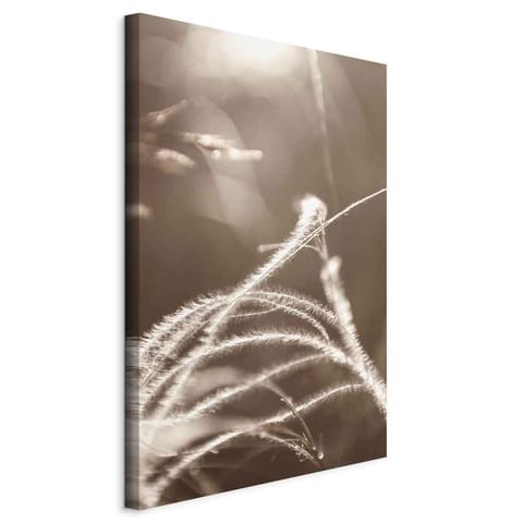 ⁨Picture - Fluffy grass (1-piece), vertical (size 60x90)⁩ at Wasserman.eu