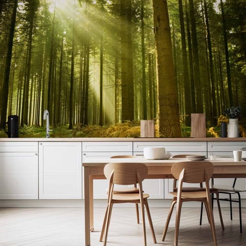 ⁨Fototapeta - Sosnowy las - gęste leśne poszycie w promieniach porannego słońca (rozmiar 300x210, wykończenie Wodoodporna)⁩ w sklepie Wasserman.eu