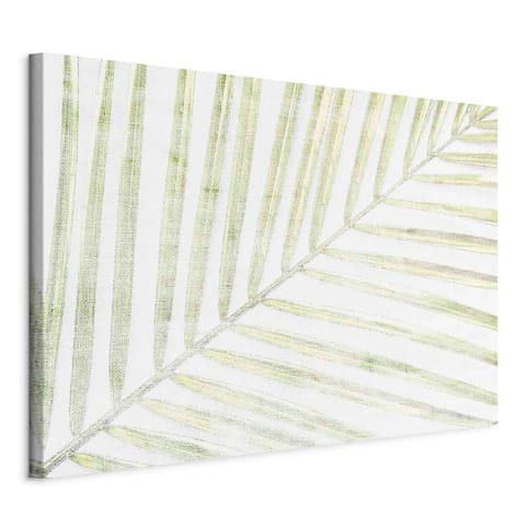 ⁨Picture - Palm leaf (1-piece) wide (size 60x40)⁩ at Wasserman.eu