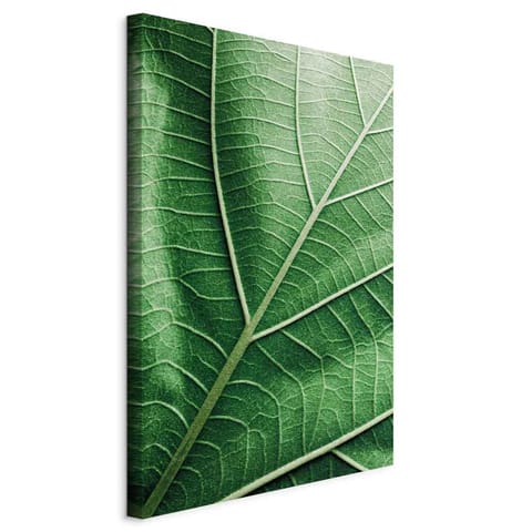 ⁨Picture - Malachite leaf (1-piece) vertical (size 60x90)⁩ at Wasserman.eu