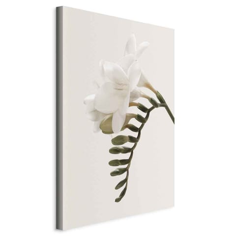 ⁨Painting - Spring plume (1-piece) vertical (size 60x90)⁩ at Wasserman.eu