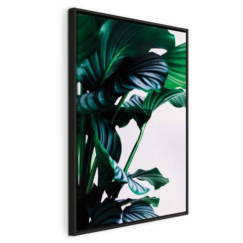 ⁨Obraz - Sprężyste liście (1-częściowy) pionowy (rozmiar 40x60, wykończenie W ramie drewnianej czarnej)⁩ w sklepie Wasserman.eu