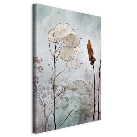 ⁨Picture - Lunaria fruits (1-piece), vertical (size 60x90)⁩ at Wasserman.eu