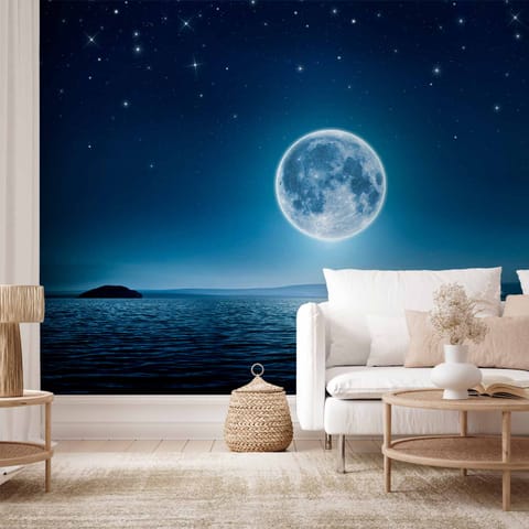 ⁨Wall mural - Moon Night (size 100x70)⁩ at Wasserman.eu