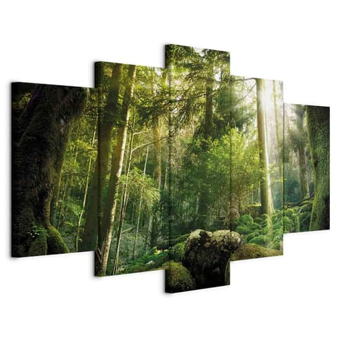 ⁨Picture - The beauty of the forest (size 225x112.5)⁩ at Wasserman.eu