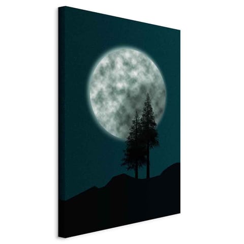 ⁨Picture - Beautiful Full Moon (1-piece), Vertical (size 60x90)⁩ at Wasserman.eu