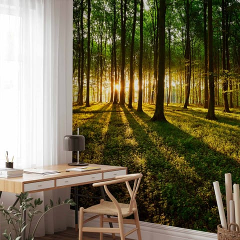 ⁨Wall mural - Spring: Morning in the forest (size 100x70)⁩ at Wasserman.eu