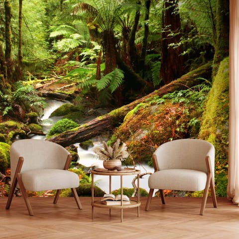 ⁨Wall mural - Forest stream (size 150x105)⁩ at Wasserman.eu