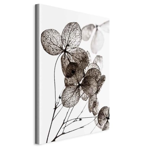 ⁨Image - Transparent clover (1-piece), vertical (size 60x90)⁩ at Wasserman.eu