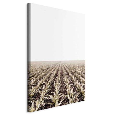 ⁨Obraz - Pole kukurydzy (1-częściowy) pionowy (rozmiar 80x120, wykończenie Na płótnie włoskim)⁩ w sklepie Wasserman.eu