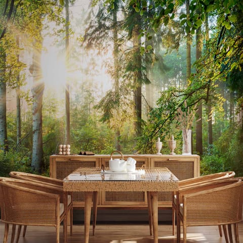 ⁨Fototapeta - Nieujarzmiona przyroda (rozmiar 450x315, wykończenie Wodoodporna)⁩ w sklepie Wasserman.eu