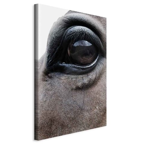 ⁨Picture - Honest eyes (1-piece) vertical (size 60x90)⁩ at Wasserman.eu