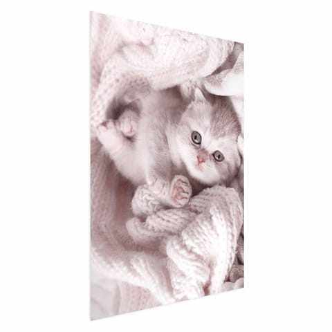 ⁨Plakat - Miłośnik wypoczynku (rozmiar 60x90, wykończenie Bez ramy)⁩ w sklepie Wasserman.eu