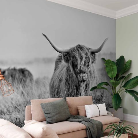 ⁨Self-adhesive mural - Scottish upland cow (size 98x70)⁩ at Wasserman.eu