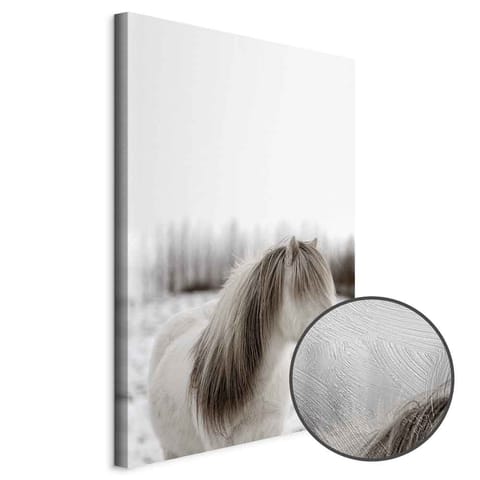 ⁨Obraz - Końska grzywa (1-częściowy) pionowy (rozmiar 60x90, wykończenie Premium Print)⁩ w sklepie Wasserman.eu