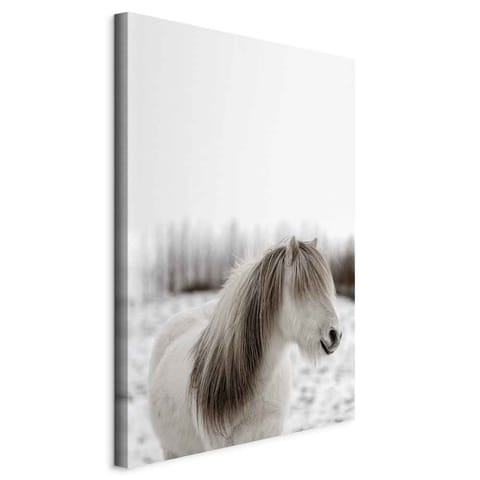 ⁨Painting - Horse mane (1-piece) vertical (size 80x120)⁩ at Wasserman.eu