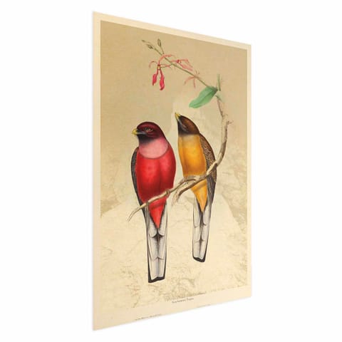 ⁨Plakat - Ptaki na gałązce (rozmiar 40x60, wykończenie Bez ramy)⁩ w sklepie Wasserman.eu