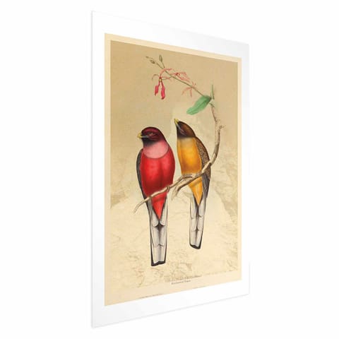 ⁨Plakat - Ptaki na gałązce (rozmiar 40x60, wykończenie Bez ramy z marginesem)⁩ w sklepie Wasserman.eu