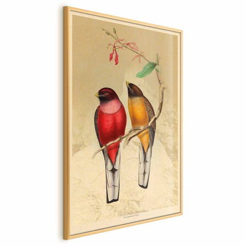 ⁨Plakat - Ptaki na gałązce (rozmiar 40x60, wykończenie Rama złota)⁩ w sklepie Wasserman.eu
