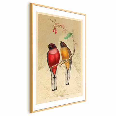 ⁨Plakat - Ptaki na gałązce (rozmiar 40x60, wykończenie Rama złota z marginesem)⁩ w sklepie Wasserman.eu