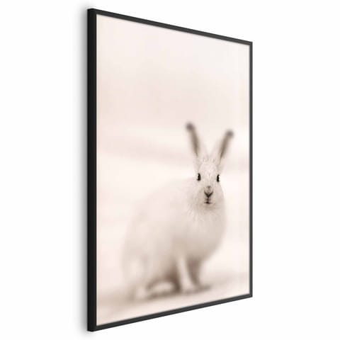 ⁨Plakat - Strachliwe spojrzenie (rozmiar 40x60, wykończenie Rama czarna)⁩ w sklepie Wasserman.eu