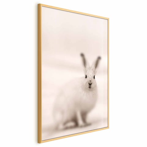 ⁨Plakat - Strachliwe spojrzenie (rozmiar 60x90, wykończenie Rama złota)⁩ w sklepie Wasserman.eu