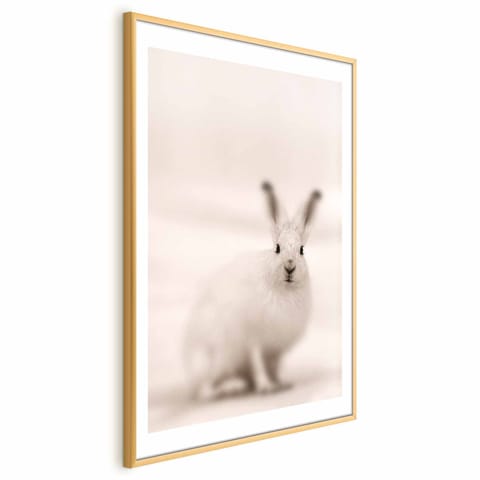 ⁨Plakat - Strachliwe spojrzenie (rozmiar 29.7x42, wykończenie Rama złota z marginesem)⁩ w sklepie Wasserman.eu