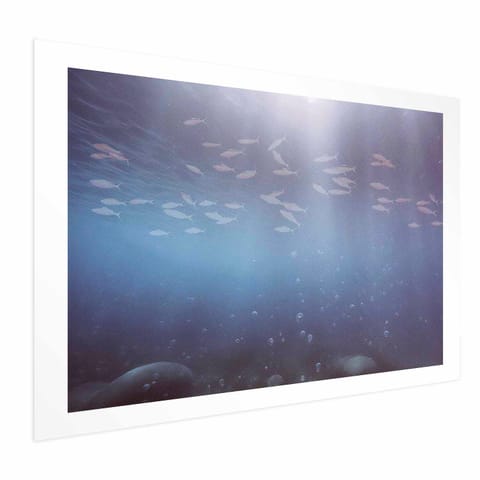 ⁨Plakat - Rybki w głębinach (rozmiar 90x60, wykończenie Bez ramy z marginesem)⁩ w sklepie Wasserman.eu