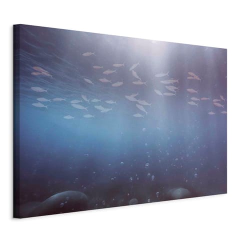 ⁨Obraz - Rybki w głębinach (rozmiar 60x40, wykończenie Na płótnie włoskim)⁩ w sklepie Wasserman.eu
