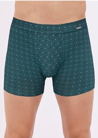 ⁨SZORTY CORNETTE PR-904/135 (kolor zielony, rozmiar XXL)⁩ w sklepie Wasserman.eu