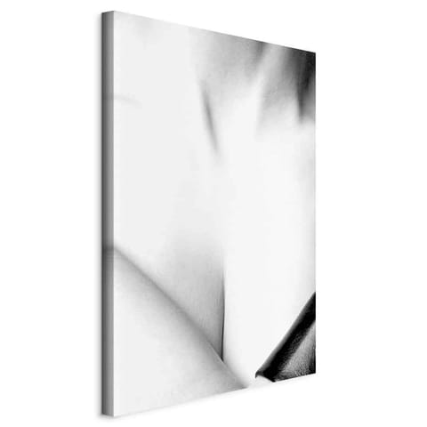 ⁨Obraz - Wdzięk (1-częściowy) pionowy (rozmiar 60x90, wykończenie Na płótnie włoskim)⁩ w sklepie Wasserman.eu