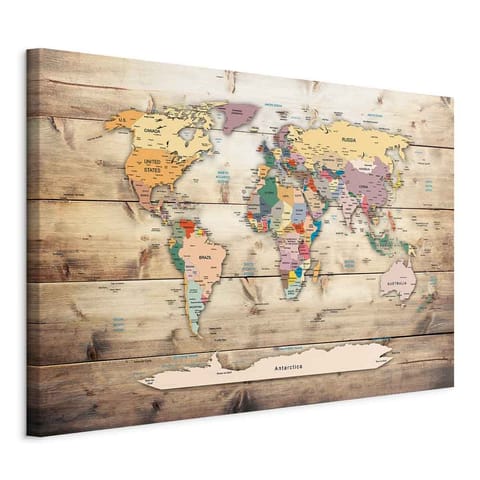 ⁨Image - World map: Colored continents (size 60x40)⁩ at Wasserman.eu