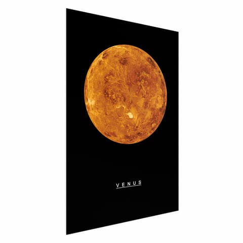 ⁨Plakat - Wenus (rozmiar 40x60, wykończenie Bez ramy)⁩ w sklepie Wasserman.eu