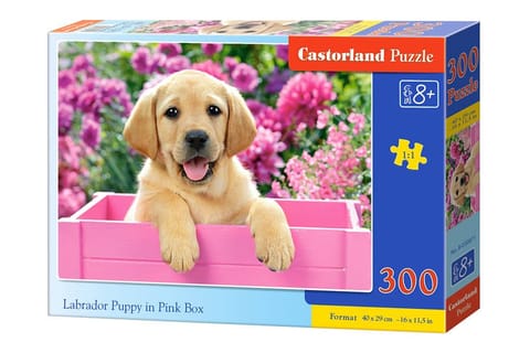 ⁨Puzzle 300 el. Labrador Puppy in Pink Box⁩ w sklepie Wasserman.eu