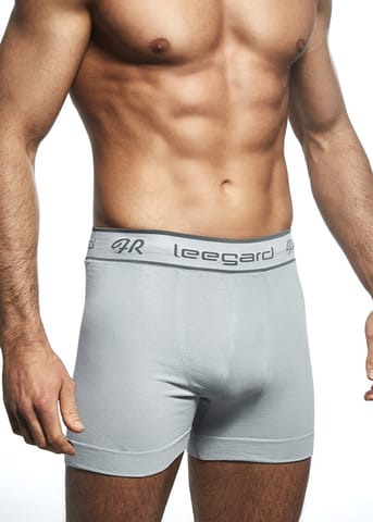 ⁨SHORTS DAREX LEEGARD HERO (Grey Colour XL Size XL (42))⁩ at Wasserman.eu