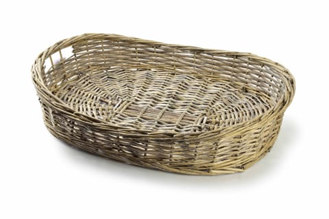 ⁨GUSTAV Taca XL 53x39x10 cm⁩ w sklepie Wasserman.eu