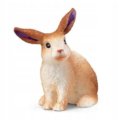 ⁨Zajączek fioletowy⁩ w sklepie Wasserman.eu