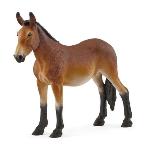 ⁨Muł⁩ w sklepie Wasserman.eu