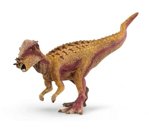 ⁨Pachycephalosaurus⁩ at Wasserman.eu