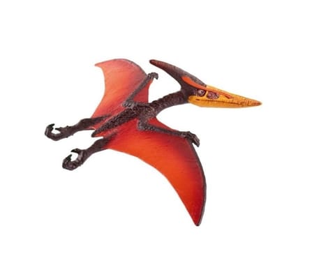 ⁨Pteranodon⁩ w sklepie Wasserman.eu
