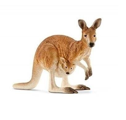 ⁨Kangaroo⁩ at Wasserman.eu