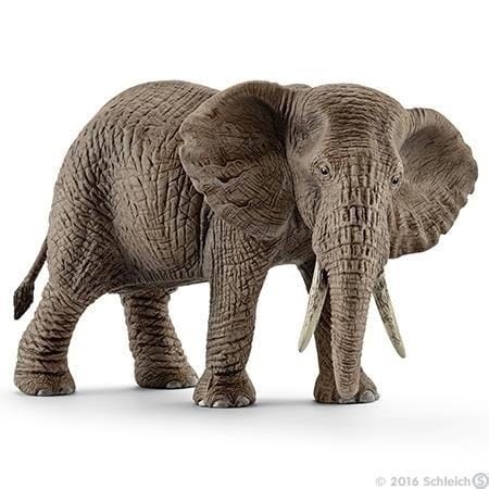 ⁨SCHLEICH Female elephant and Phrycan⁩ at Wasserman.eu