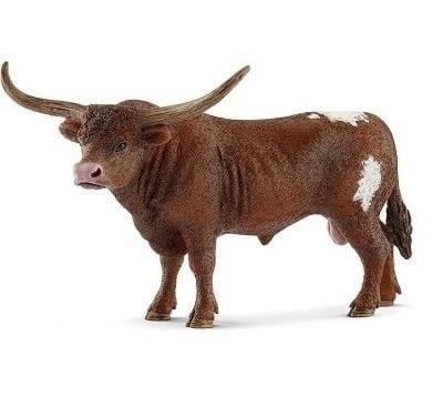 ⁨Texas Longhorn bull⁩ at Wasserman.eu