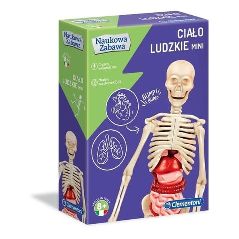 ⁨Mini Human body⁩ at Wasserman.eu