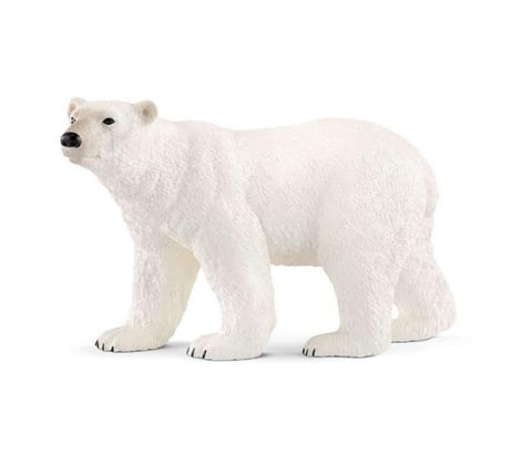 ⁨Polar bear⁩ at Wasserman.eu