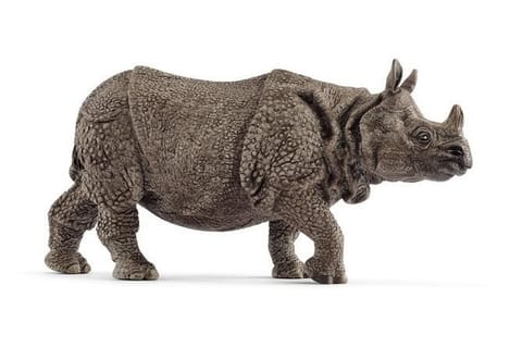 ⁨Indian Rhinoceros⁩ at Wasserman.eu