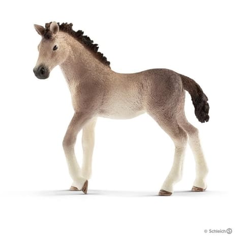⁨Foal of the Andalusian Race⁩ at Wasserman.eu
