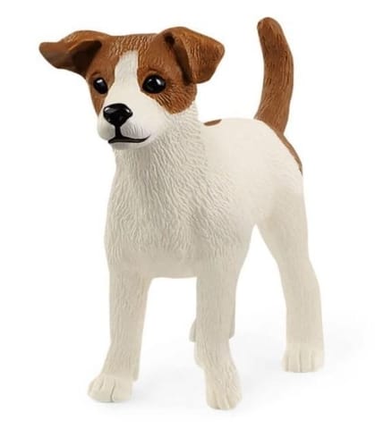 ⁨Jack Russell Terrier⁩ at Wasserman.eu